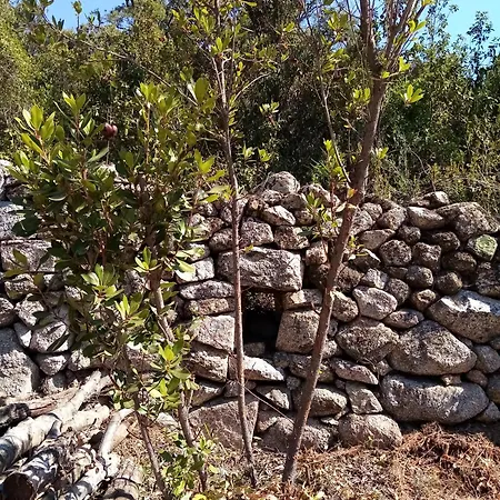 I Baghi - Sans Vis-a-vis Au Calme Villa *